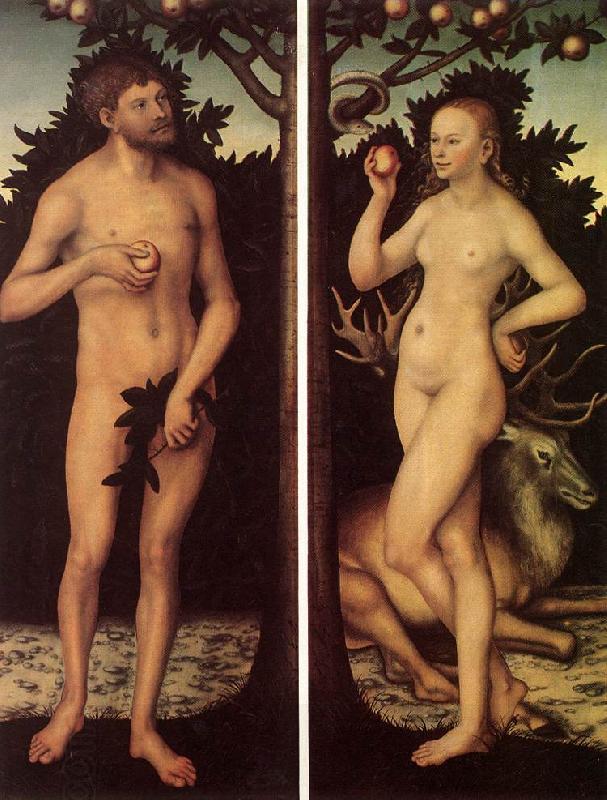 CRANACH, Lucas the Elder Adam and Eve 03 China oil painting art